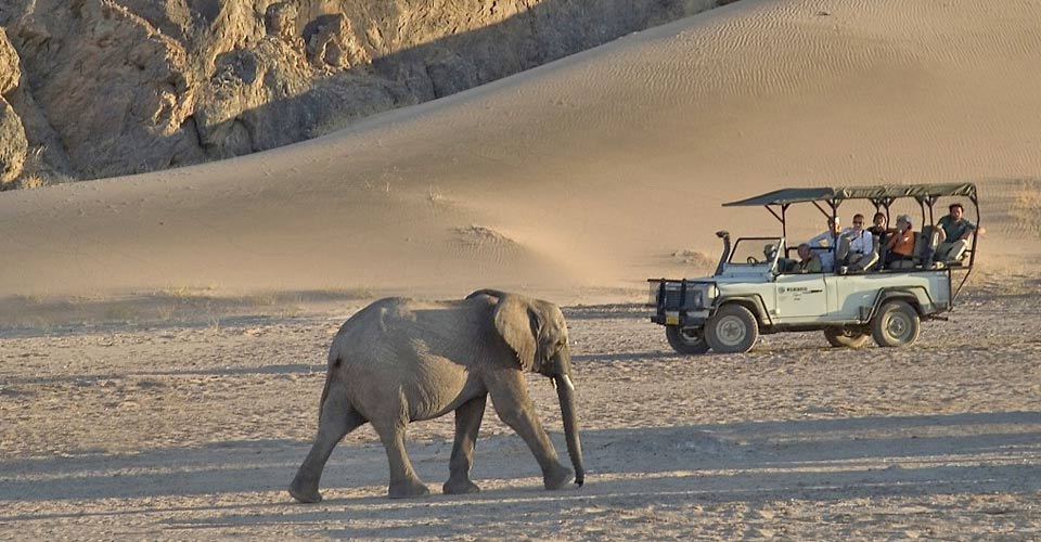 Botswana Namibia Safari | African Safaris | Natural Habitat Adventures