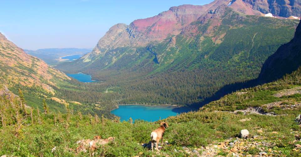 Glacier National Park Tour Adventure Travel