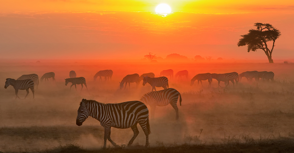 Weather & Climate in East Africa