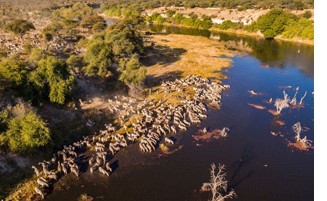 Helicopter Tour Botswana