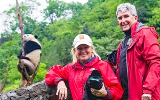 Photographing pandas in China