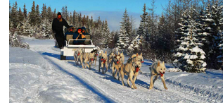 Sled Dog Rides in Canada