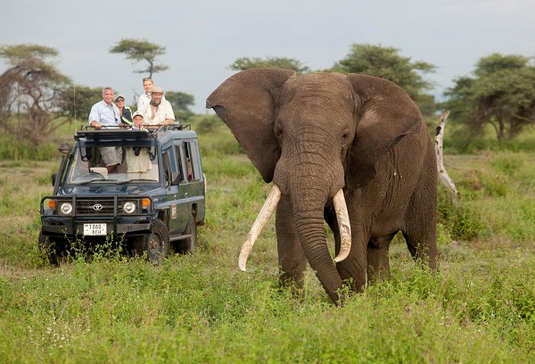 Botswana green season