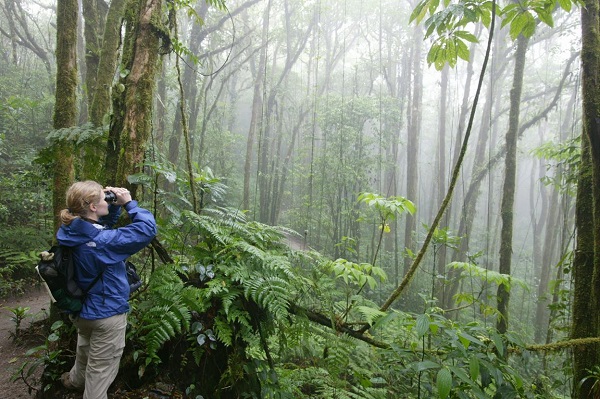 Costa Rica green season