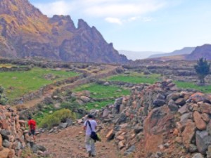 Peru Nature Trek