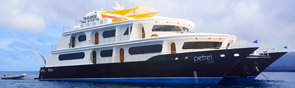 New 16-Passenger M/C Petrel Showcases Rarer Reaches of the Galapagos