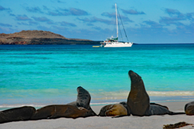 Tortoise Camp in the Galapagos