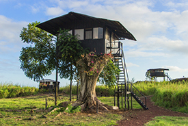 Galapagos Islands Tortoise Camp