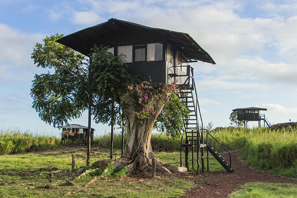 Visit Galapagos for the winter holidays