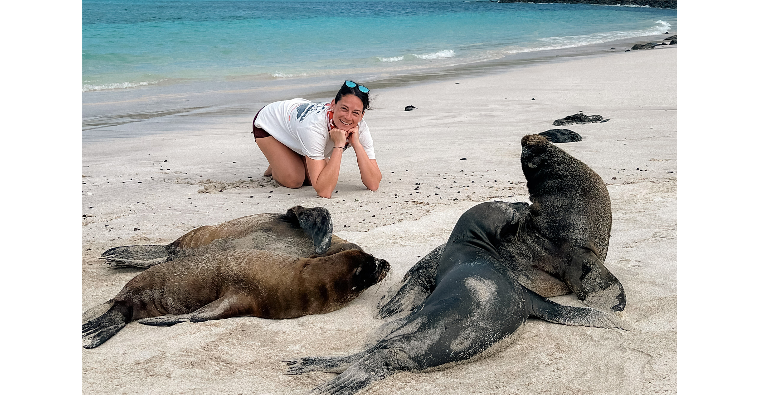 Saying hello to the sea lions of Santa Fe Island in the Galapagos.