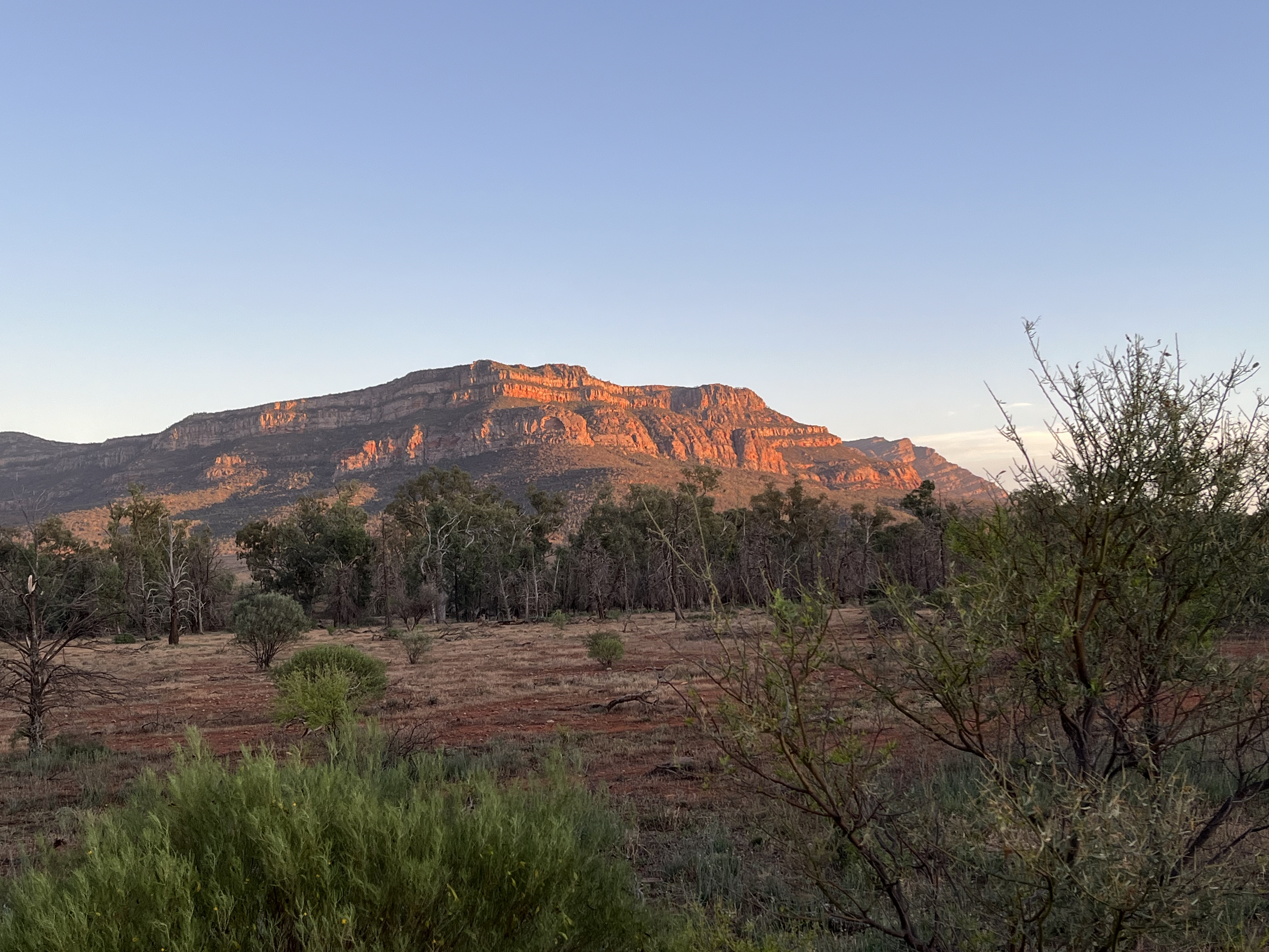 The sunrises and sunsets off the rusty red rocks of Flinders Ranges was simply stunning.