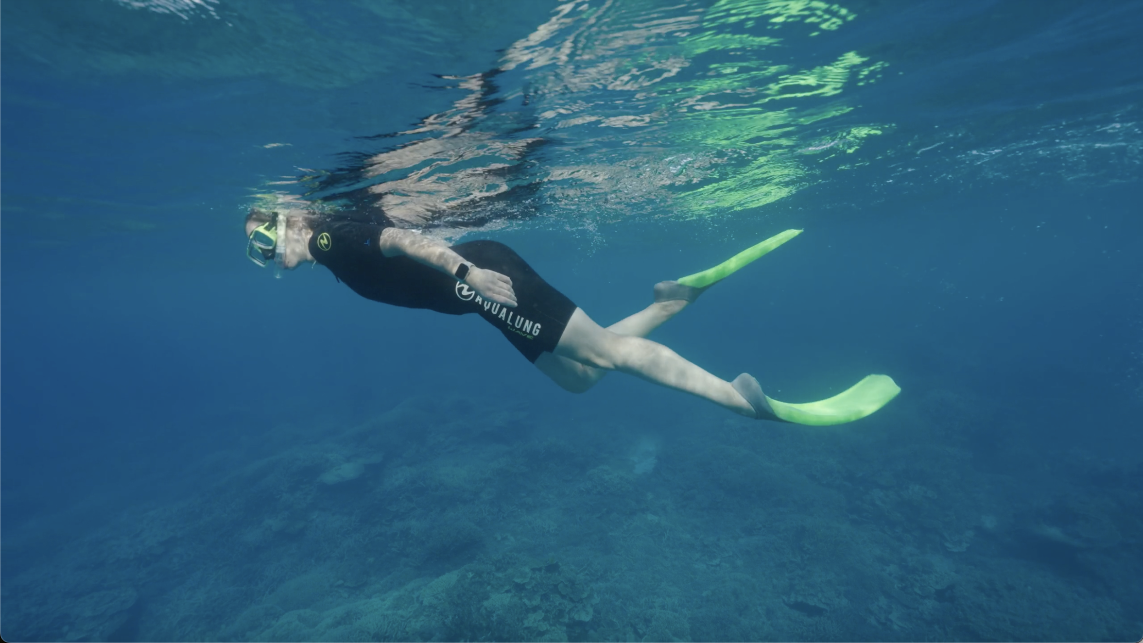 Snorkeling in the southern Great Barrier Reef off the coast of Lady Elliot Island. Photo by Andrew Ackerman