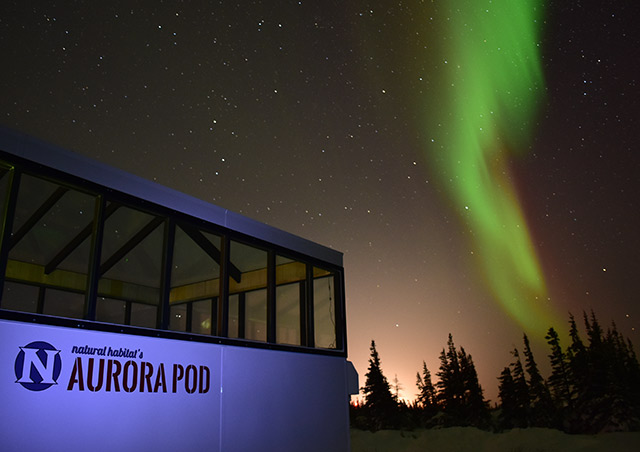 Experiencing Nat Hab's Aurora Pod, a heated, glass-enclosed viewing station on the tundra. The northern lights...the Nat Hab way!