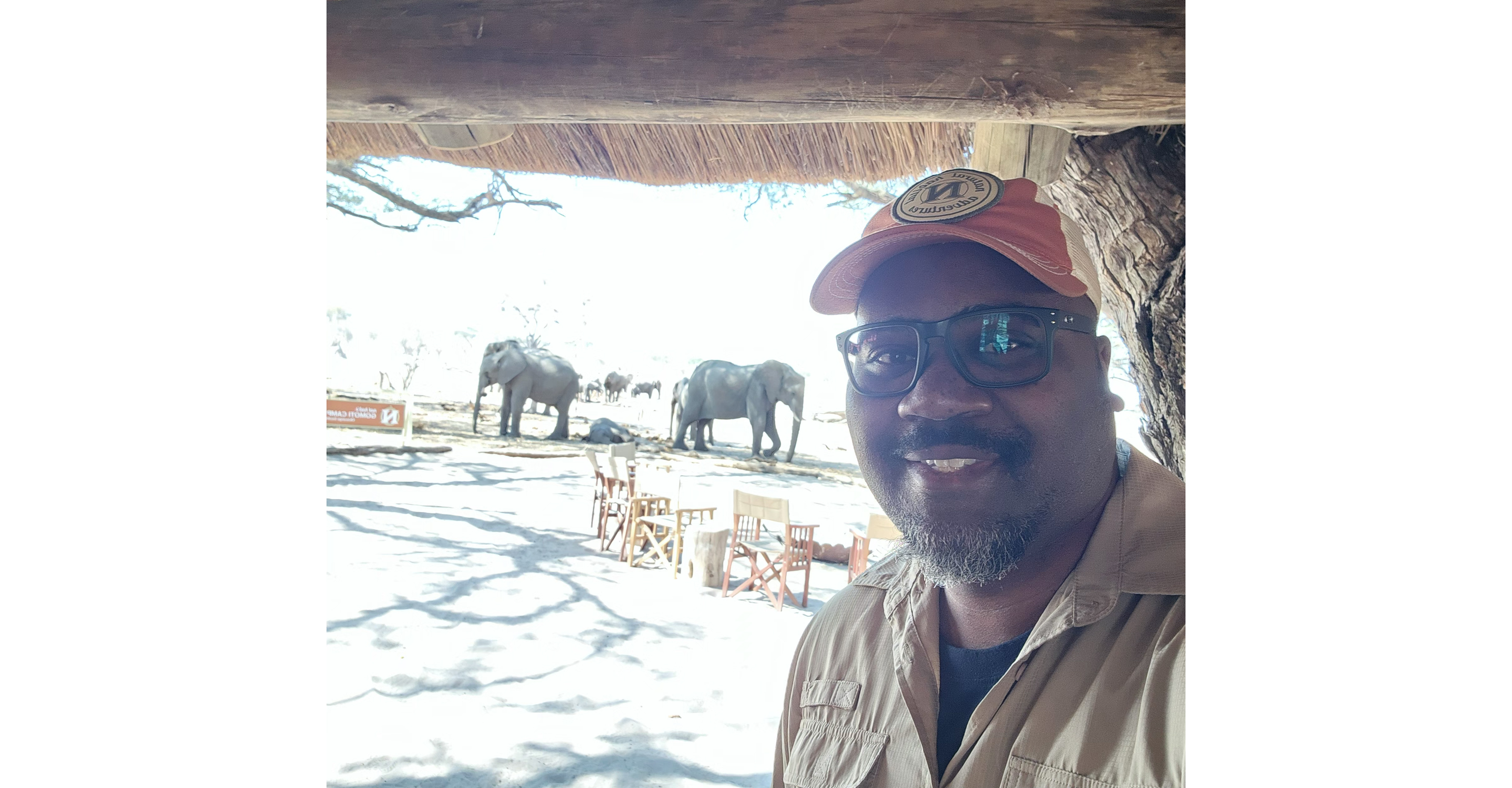 Elephant Views in Botswana