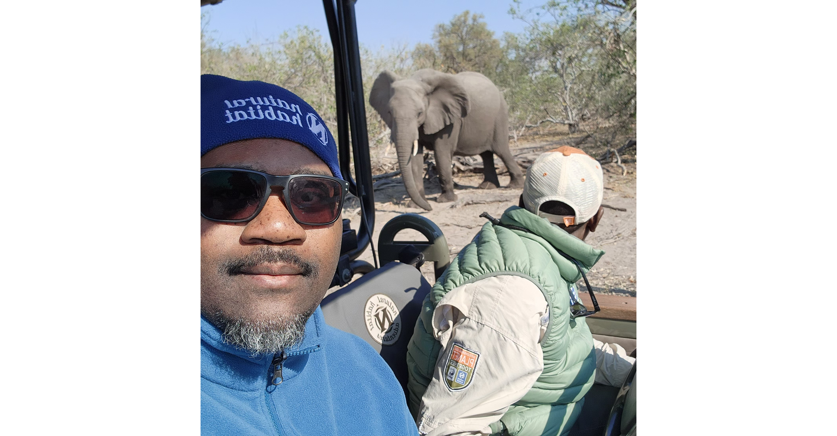 Elephant posing in Linyanti Wildlife Reserve