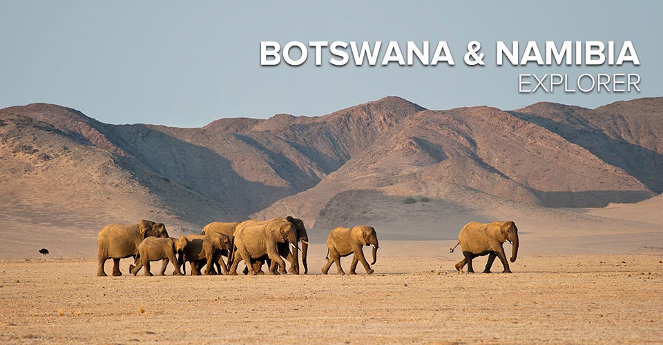 botswana namibia safari