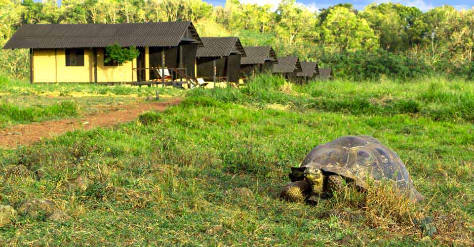 Galapagos Photo Tour | Photo Expeditions | Natural Habitat Adventures