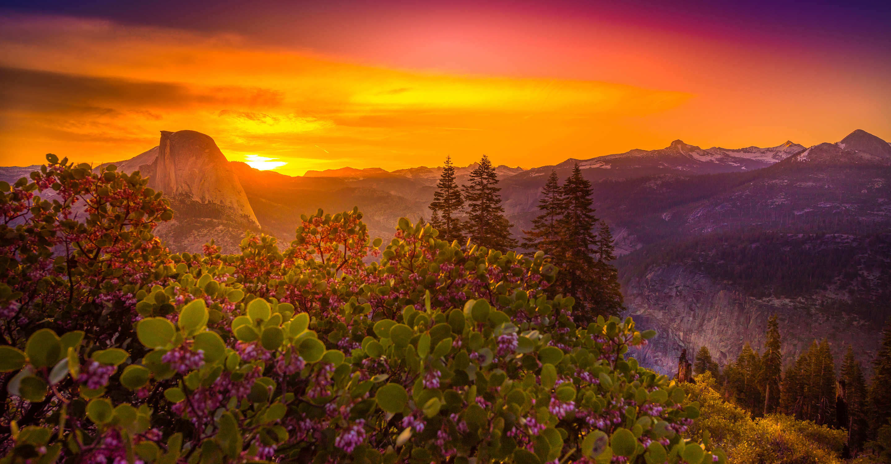 Yosemite Nature Tour | U.S. National Parks Adventure Travel