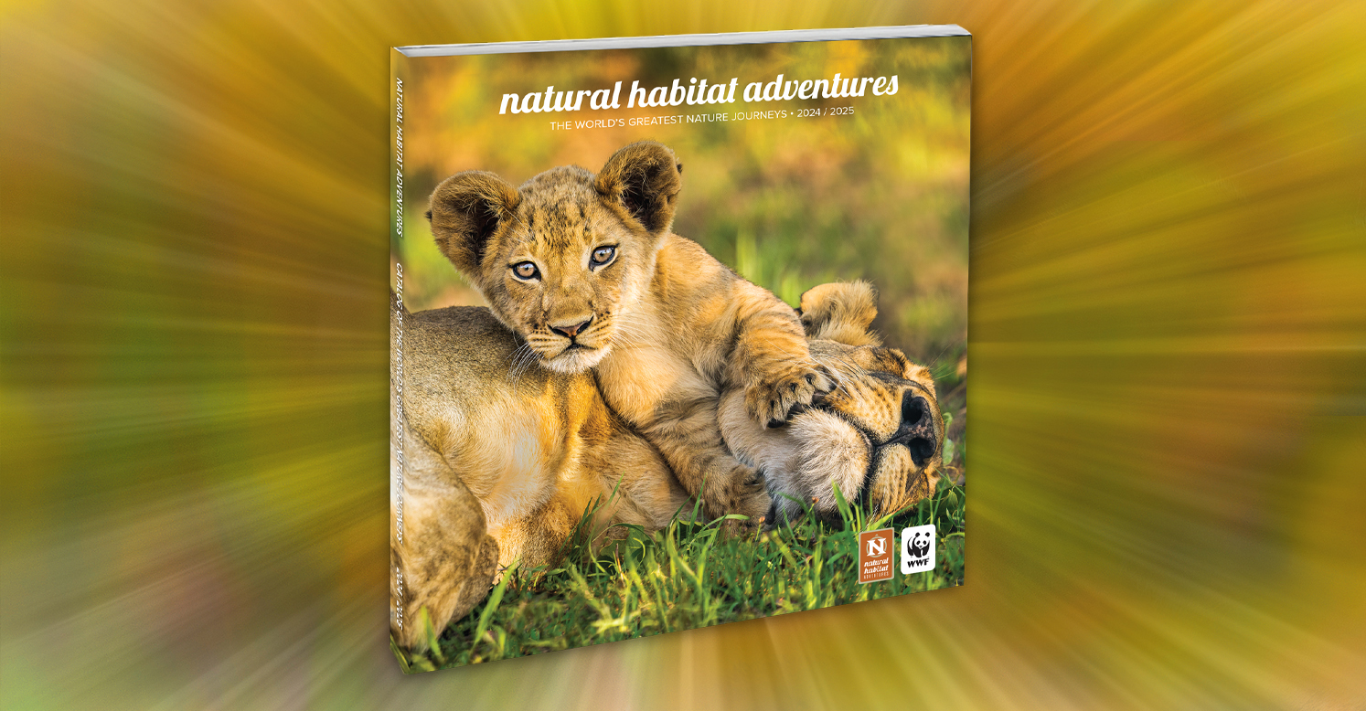 Adventure Travel & Nature Tours | Natural Habitat Adventures