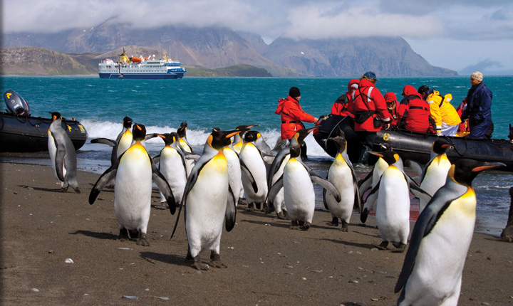 Antarctica Cruise | Adventure Cruises