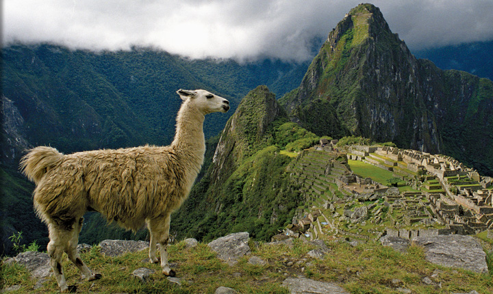 Natural Habitat Adventures | Extensions | Guided Machu Picchu Extension